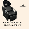 Lavapelos Profesional Monclar Reclinable Silver